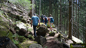 Wanderung Renchtal