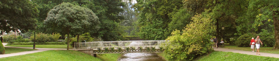 http://www.schwarzwald-informationen.de/bilder/baden-baden/lichtentaler-allee-banner.jpg