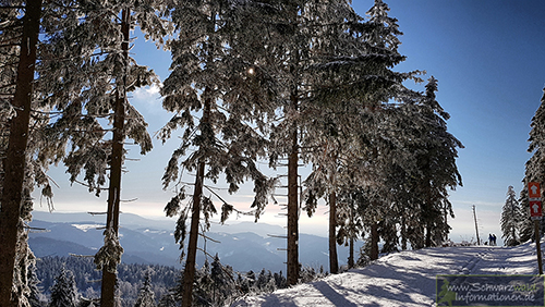 Winterbilder vom Schwarzwald
