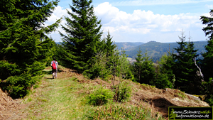 Fußpfad mit Blick ins Buhlbachtal