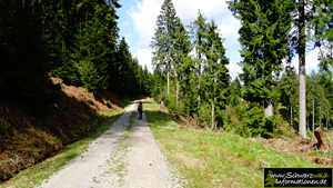 Nordschwarzwald wandern
