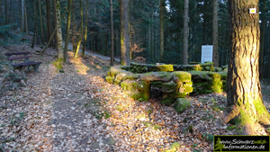 Salbeofen Schwarzwald