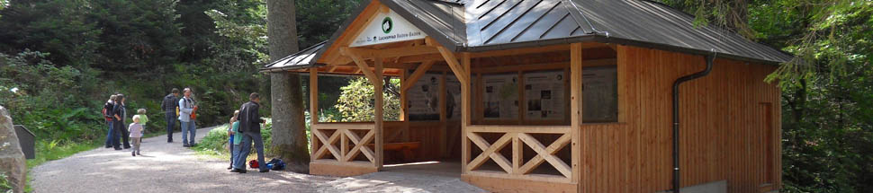 http://www.schwarzwald-informationen.de/bilder/luchs-lehrpfad/banner-luchspfad.jpg