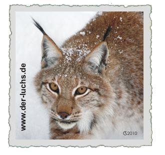 http://www.schwarzwald-informationen.de/bilder/luchs-lehrpfad/luchs-initiative.jpg