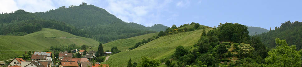 http://www.schwarzwald-informationen.de/bilder/neuweier/Auswahl/neuweier-banner.jpg