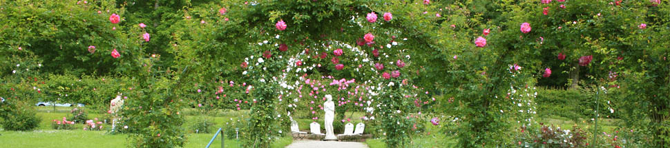 http://www.schwarzwald-informationen.de/bilder/baden-baden/baden-baden-banner.jpg