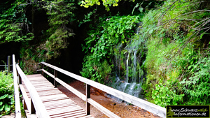 Sankenbach Wasserfälle
