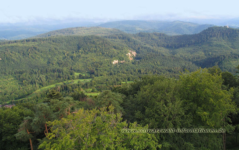 http://www.schwarzwald-informationen.de/bilder/sinzheimer-bergsee/bergsee-800.jpg