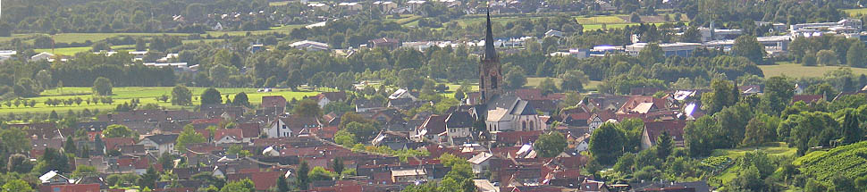 http://www.schwarzwald-informationen.de/bilder/steinbach/steinbach-banner.jpg