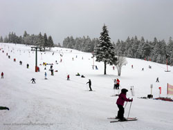 http://www.schwarzwald-informationen.de/bilder/wintersport/skilift-ruhestein-k.jpg