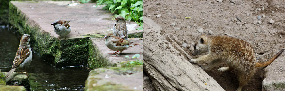 Image3\