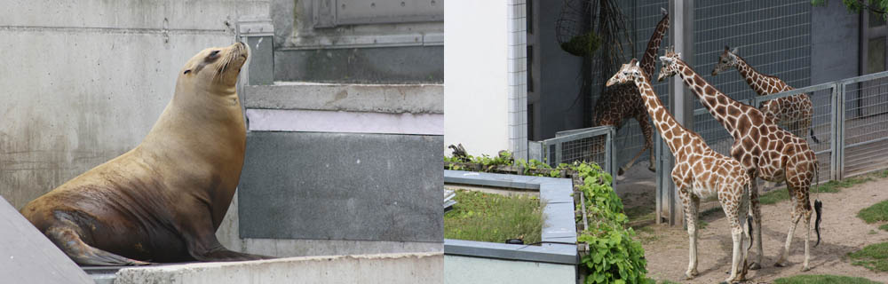 Image5\