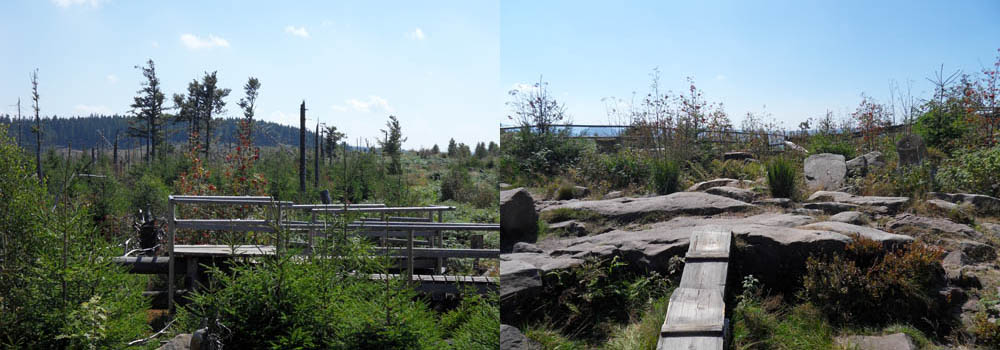 Image4\