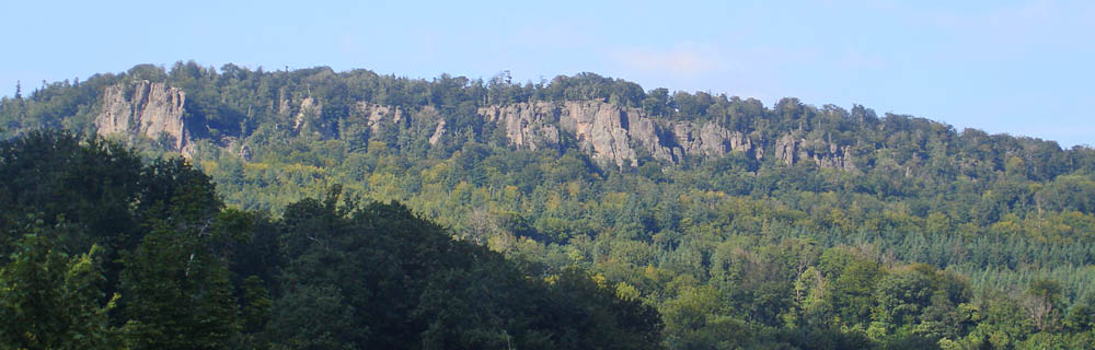Image1\