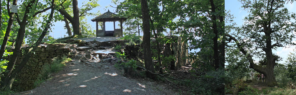 Image5\