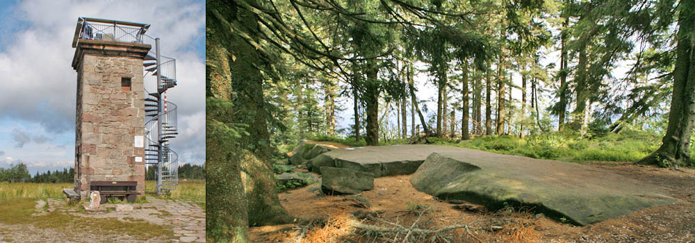 Image3\