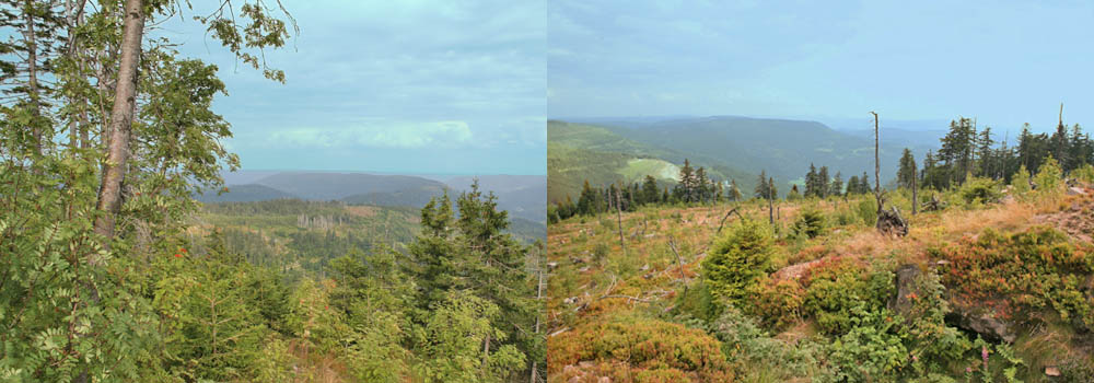 Image4\