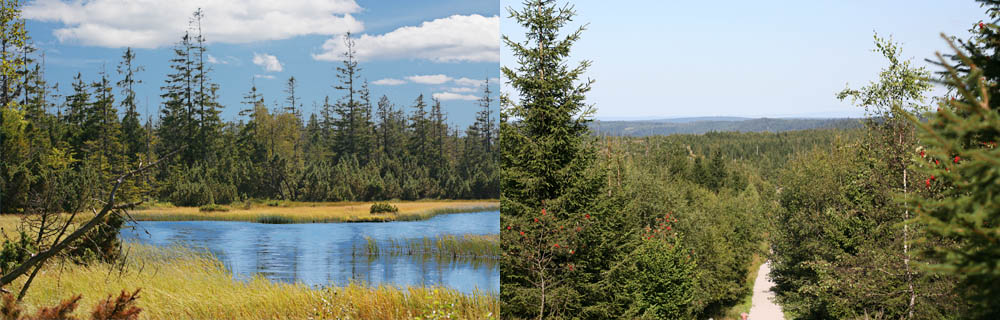Image1\