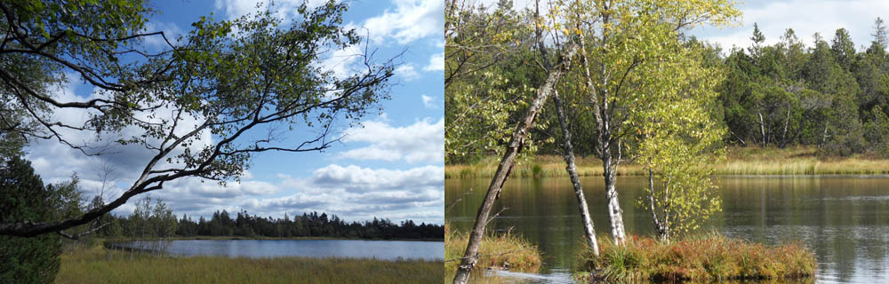 Image3\