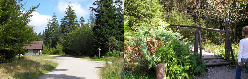 Image4\