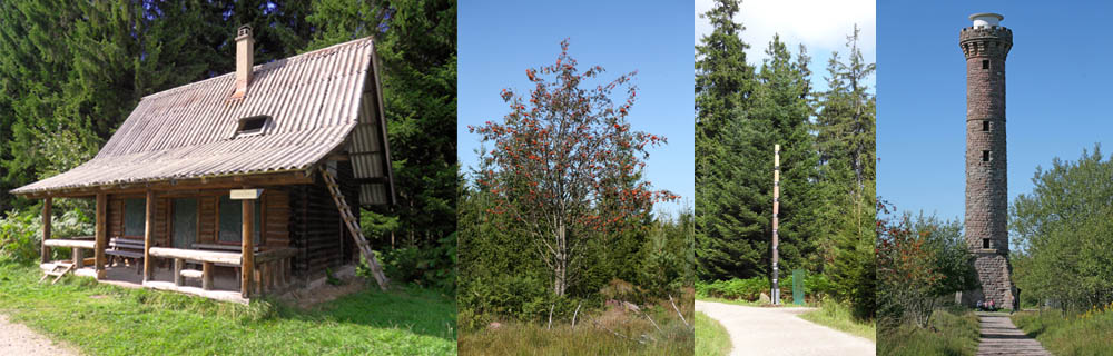 Image5\