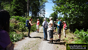 Führung im Nationalpark Schwarzwald
