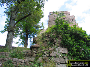 alte Ruine Schloss
