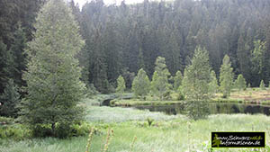 Nationalpark Buhlbachsee