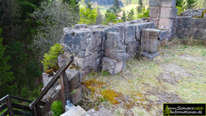 Schwarzwald Ruine