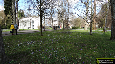 Frühling in Baden-Baden