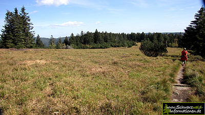 Die Hochmoorflächen im Schwarzwald
