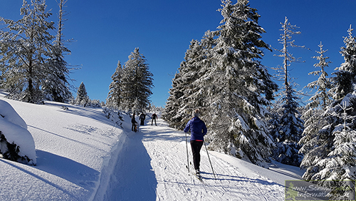 Skilanglauf im Schwarzwald