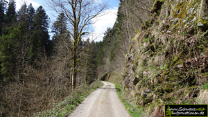 Schwarzwald wandern