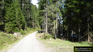 Wanderweg Nordschwarzwald