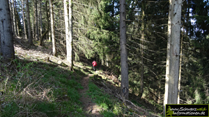 wandern im Nordschwarzwald