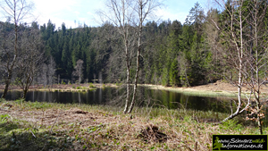 Buhlbachsee im Nordschwarzwald