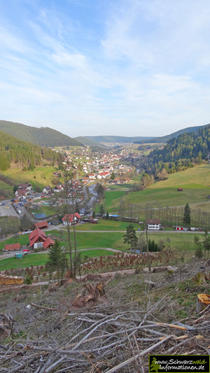 Blick ins Baiersbronner Tal