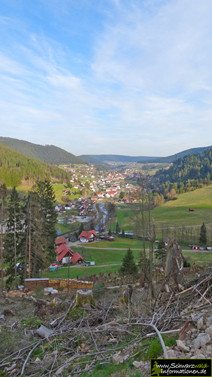 Blick ins Baiersbronner Tal