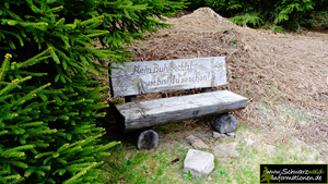 Holzbank mit Blick ins Buhlbachtal