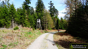 Schwarzwald wandern Baiersbronn