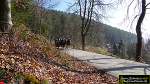Schwarzwald wandern