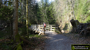 Tonbach auf einer Holzbrücke