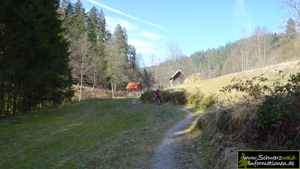 Wiesenhütte Tonbachtal