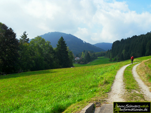Schwarzwald Wanderung