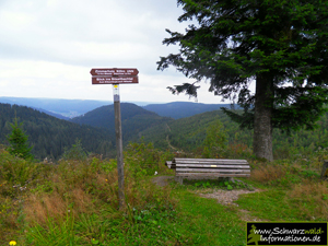 Ausblick Schwarzwald Nationalpark