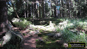 hoher-ochsenkopf-naturschutzgebiet