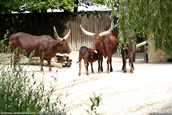 Karlsruhe Zoo