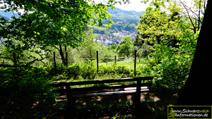 Baden-Baden Panoramaweg