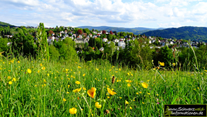 Wiese in Baden-Baden Landesgartenschau
