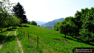 Panoramaweg Baden-Baden Etappe 2